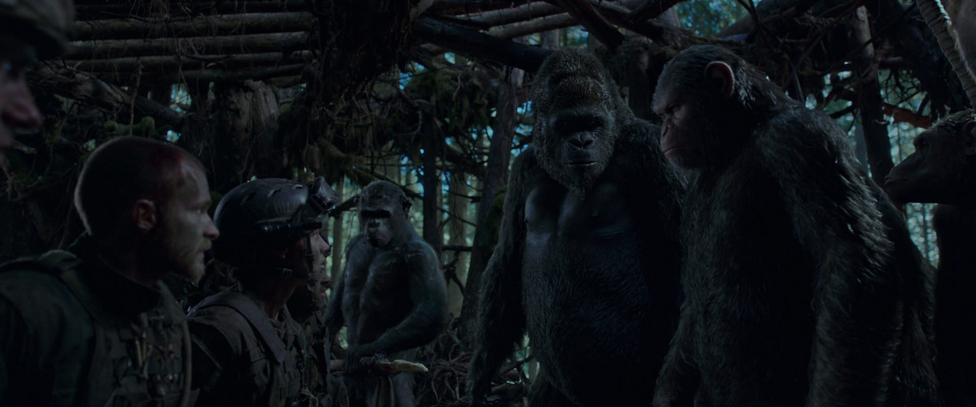 War for the Planet of the Apes (2017) movie still 1201
