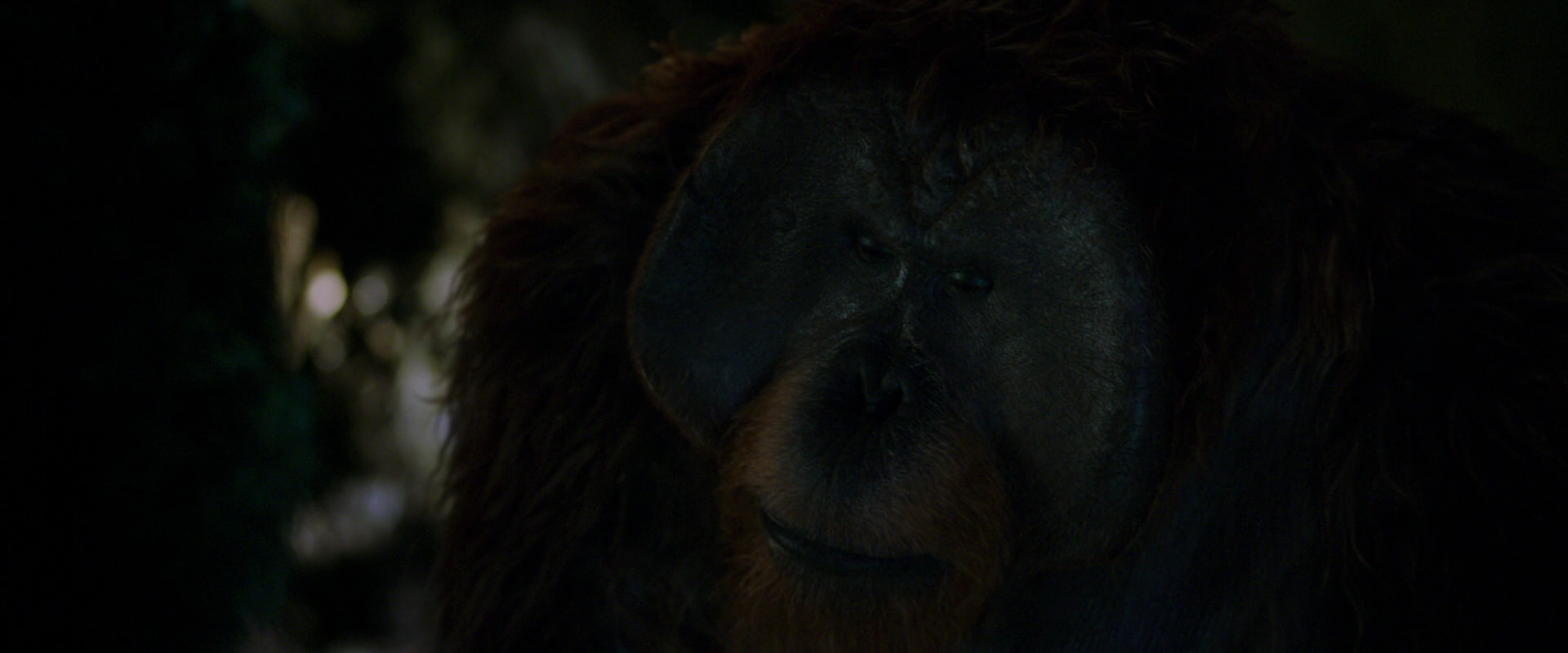 War for the Planet of the Apes (2017) movie still 12010
