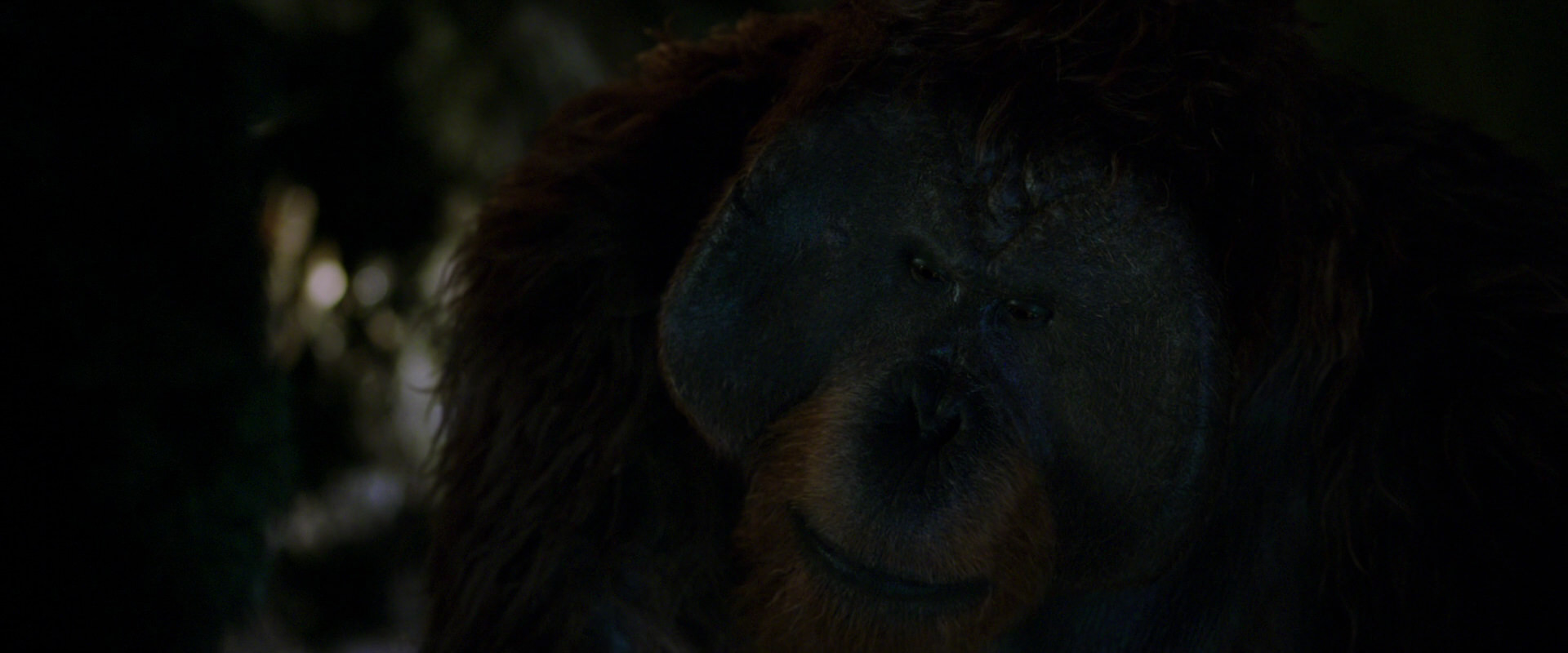 War for the Planet of the Apes (2017) movie still 12013