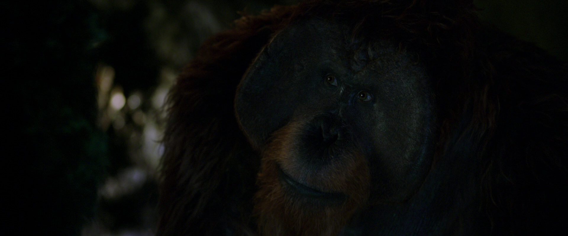 War for the Planet of the Apes (2017) screencap 12015