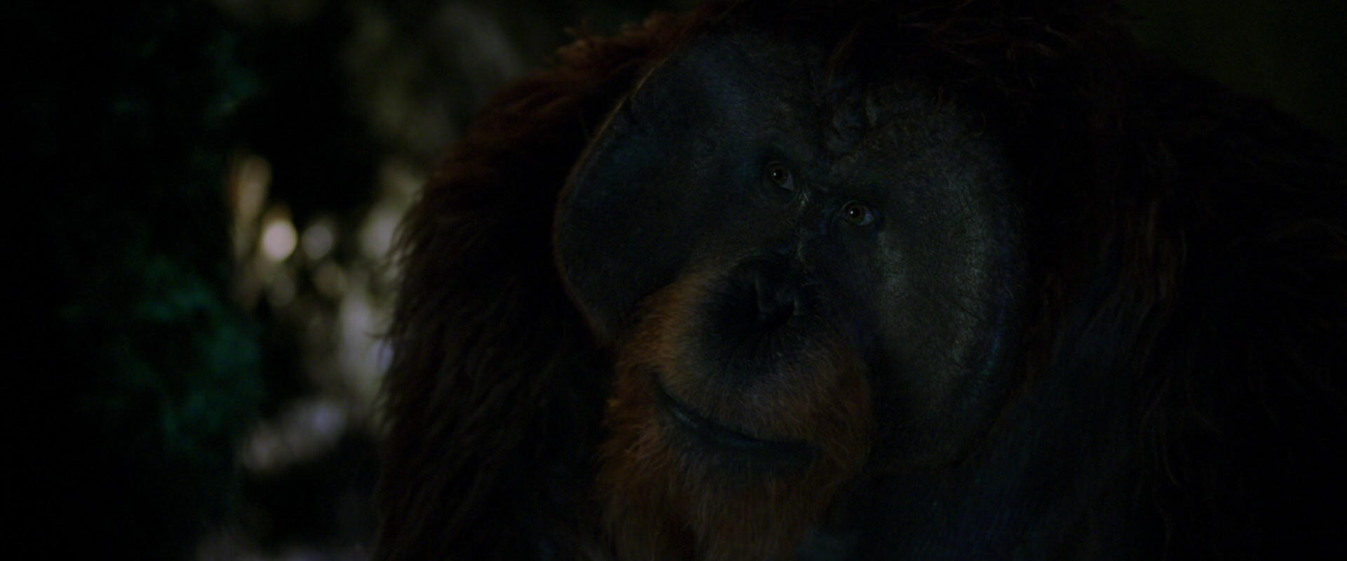 War for the Planet of the Apes (2017) movie still 12016