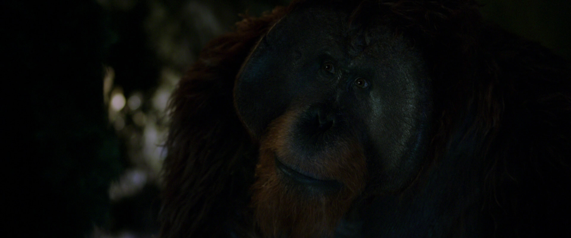 War for the Planet of the Apes (2017) HD screenshot 12017