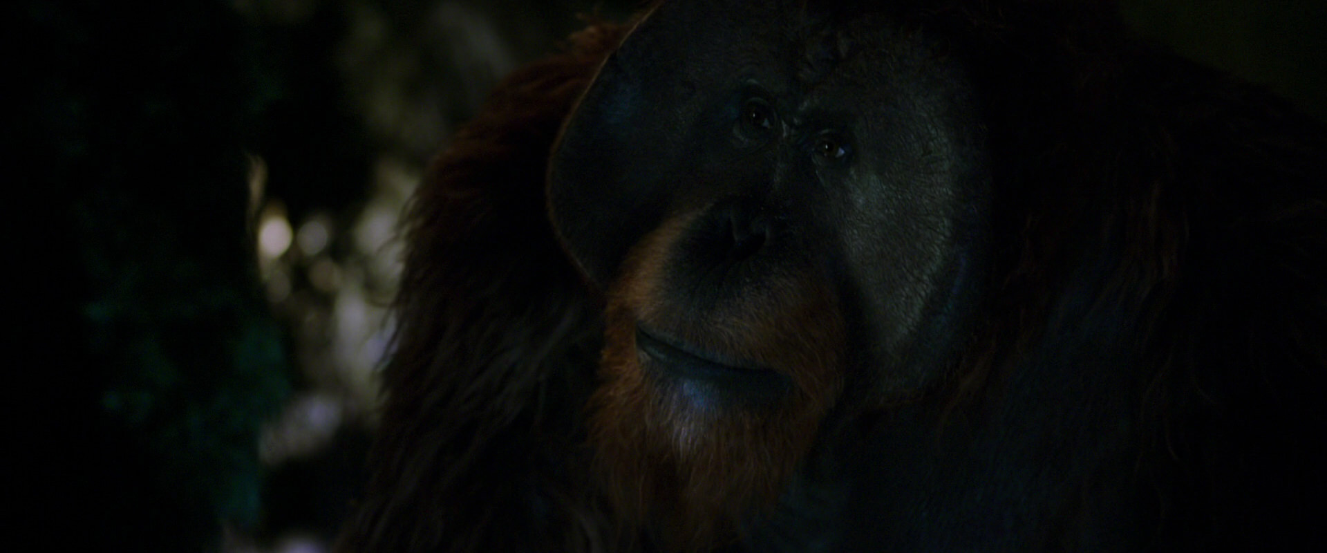 War for the Planet of the Apes (2017) screencap 12018