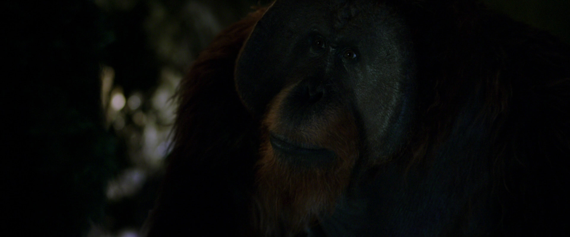 War for the Planet of the Apes (2017) movie still 12019