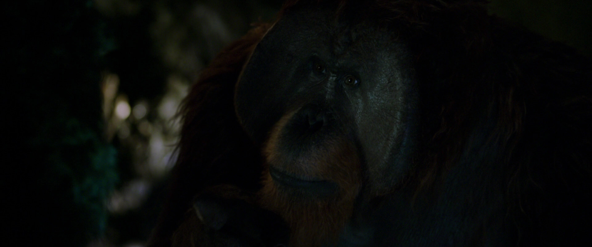 War for the Planet of the Apes (2017) HD screenshot 12020