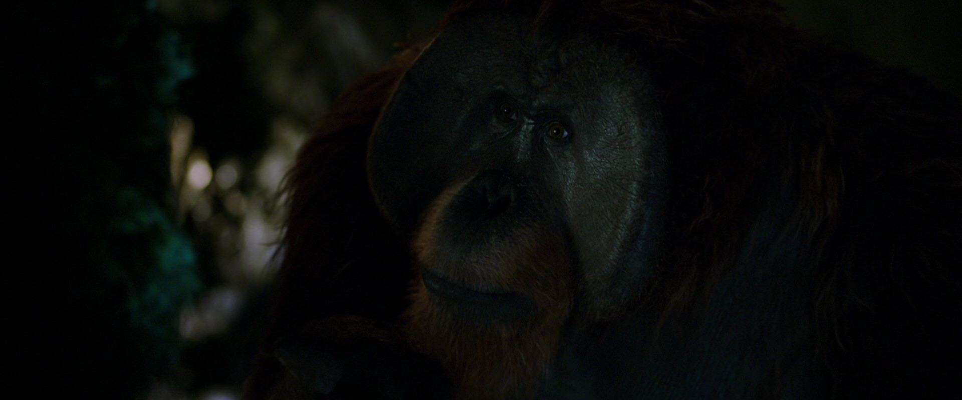 War for the Planet of the Apes (2017) screencap 12021