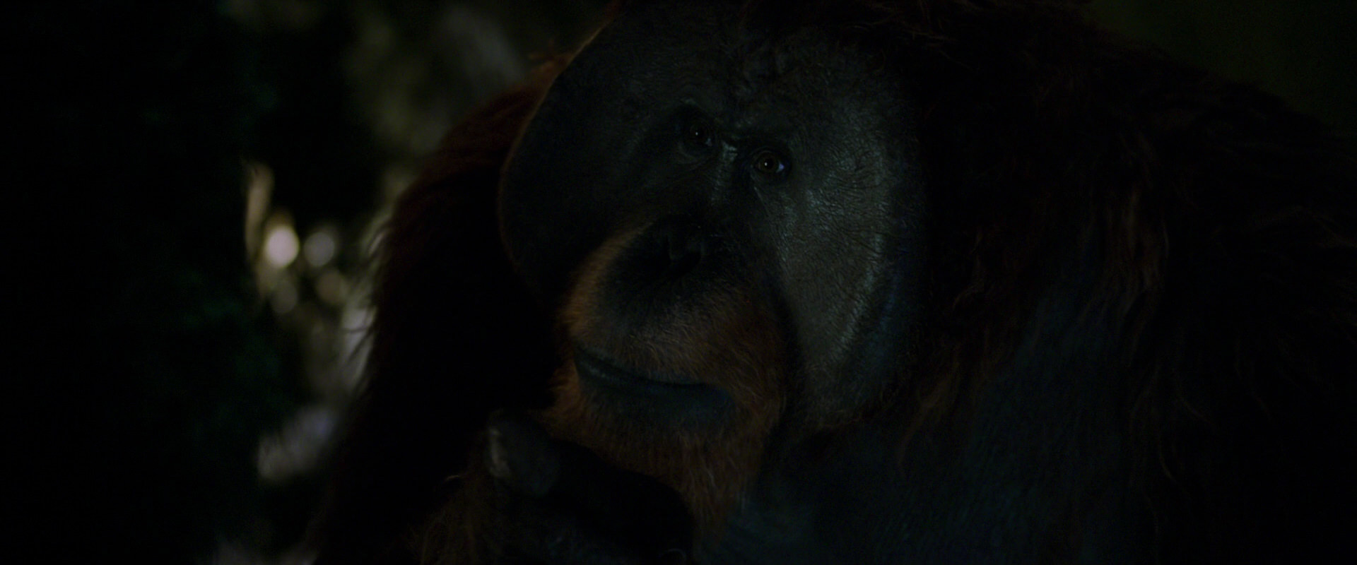 War for the Planet of the Apes (2017) movie still 12022