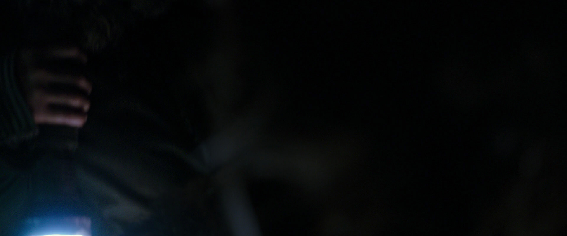 War for the Planet of the Apes (2017) screencap 12027