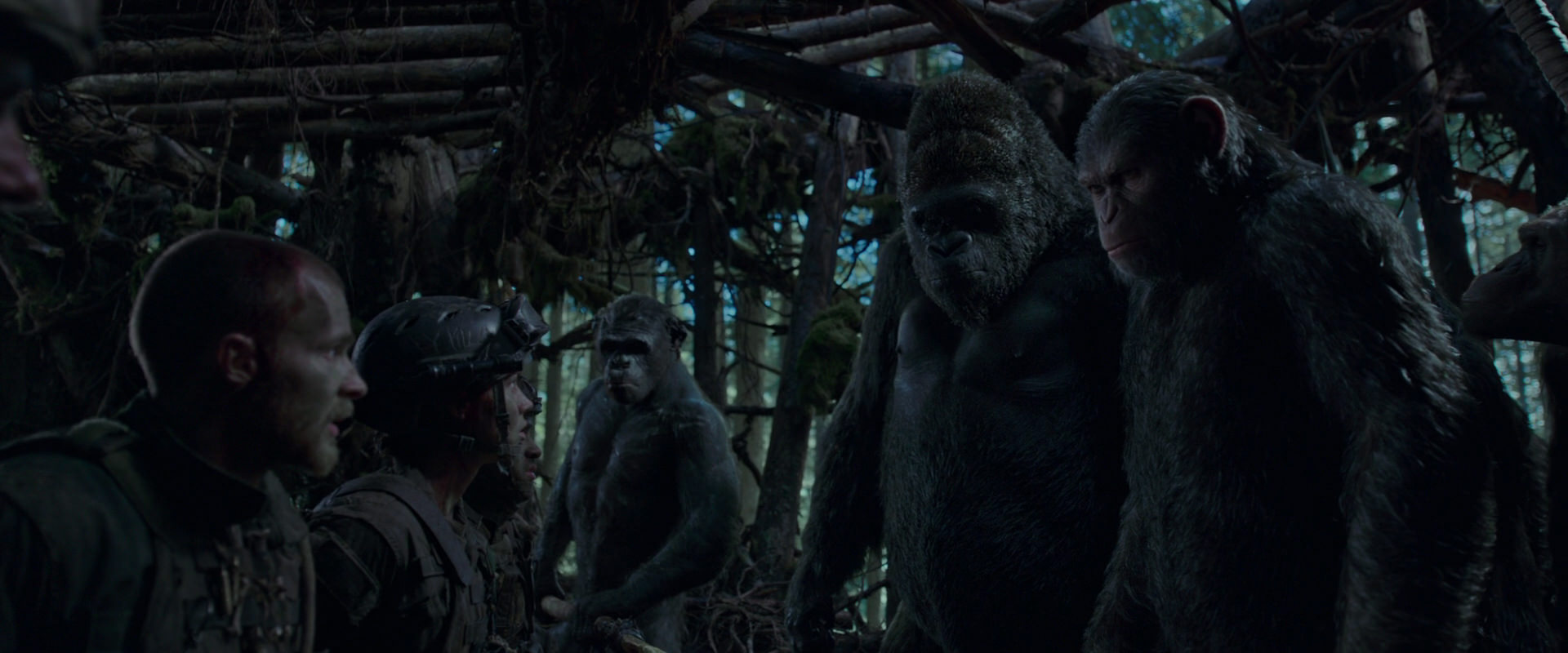 War for the Planet of the Apes (2017) movie still 1204