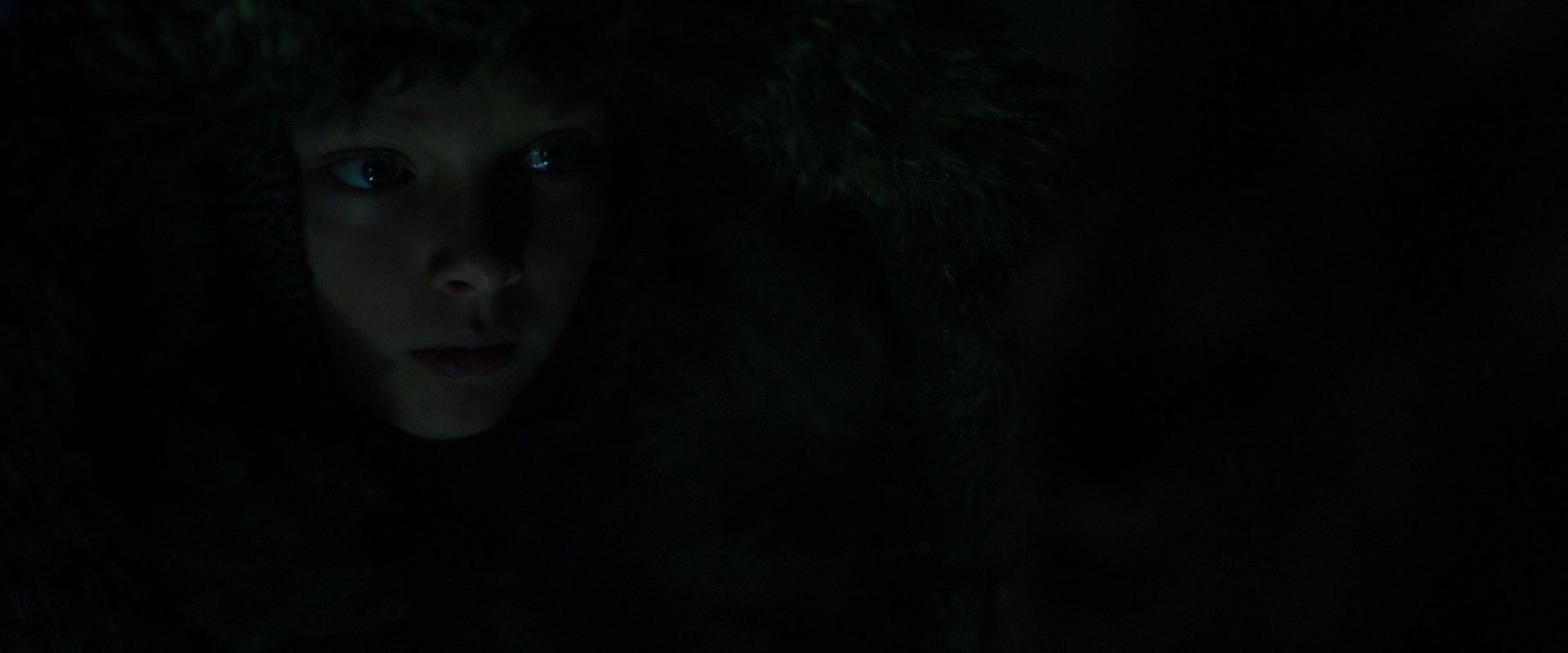 War for the Planet of the Apes (2017) screencap 12045