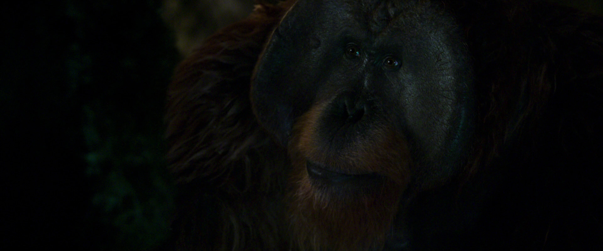 War for the Planet of the Apes (2017) movie still 12046
