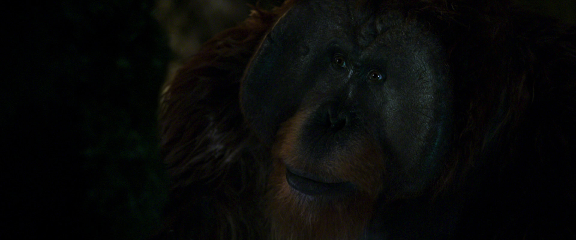 War for the Planet of the Apes (2017) HD screenshot 12047