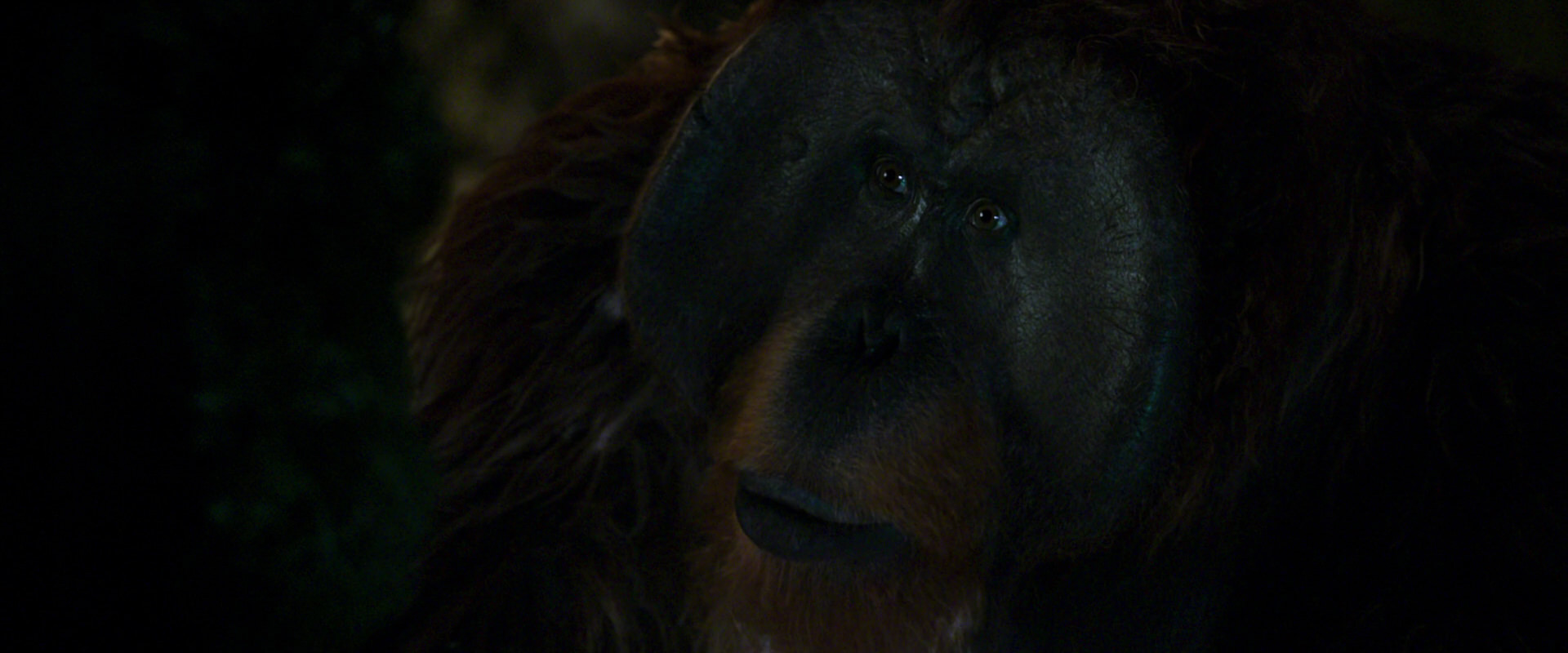 War for the Planet of the Apes (2017) screencap 12048