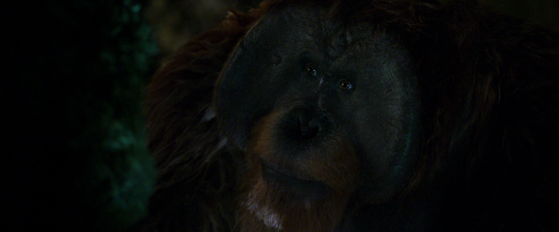 War for the Planet of the Apes (2017) movie still 12049