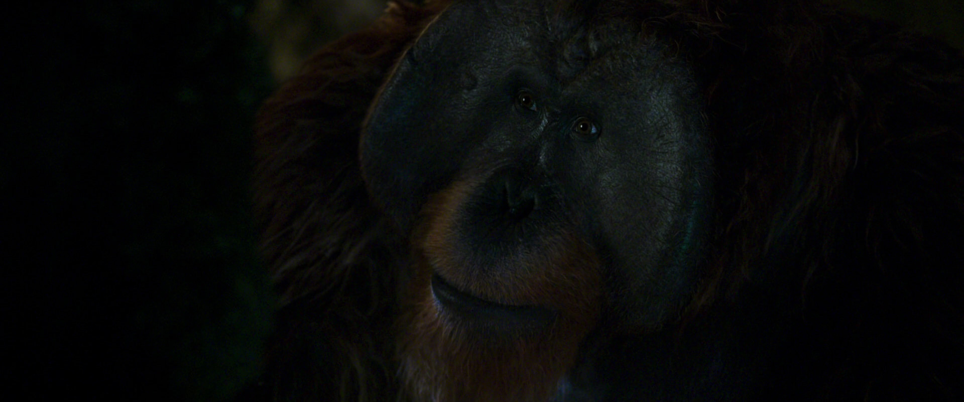 War for the Planet of the Apes (2017) screencap 12051