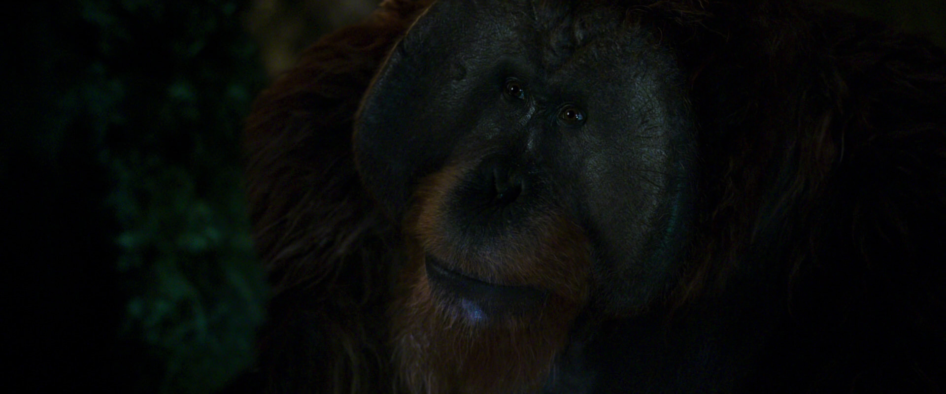 War for the Planet of the Apes (2017) movie still 12052