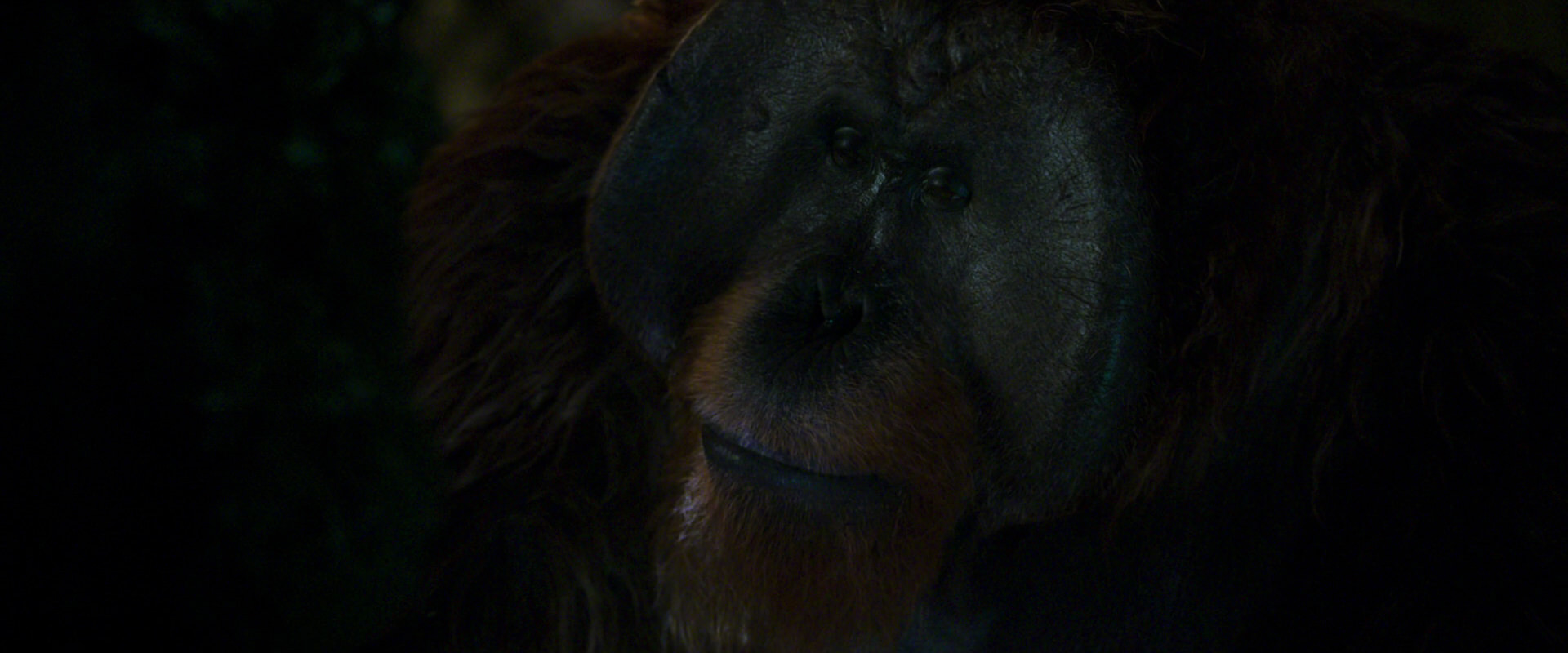 War for the Planet of the Apes (2017) HD screenshot 12053