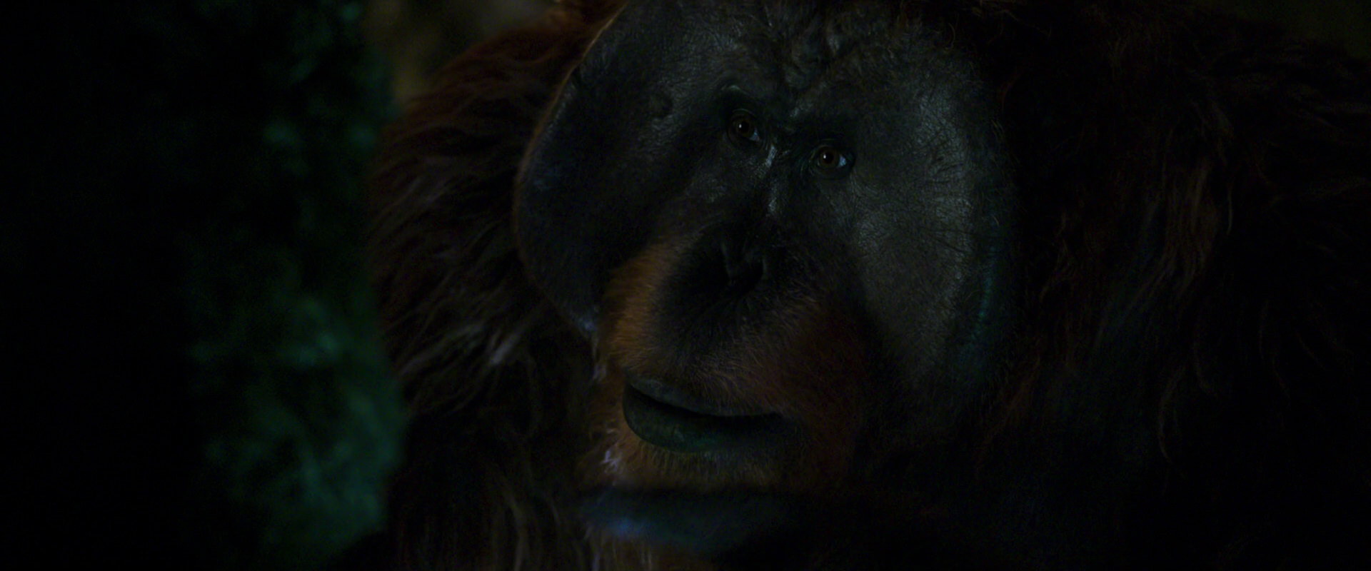 War for the Planet of the Apes (2017) screencap 12054