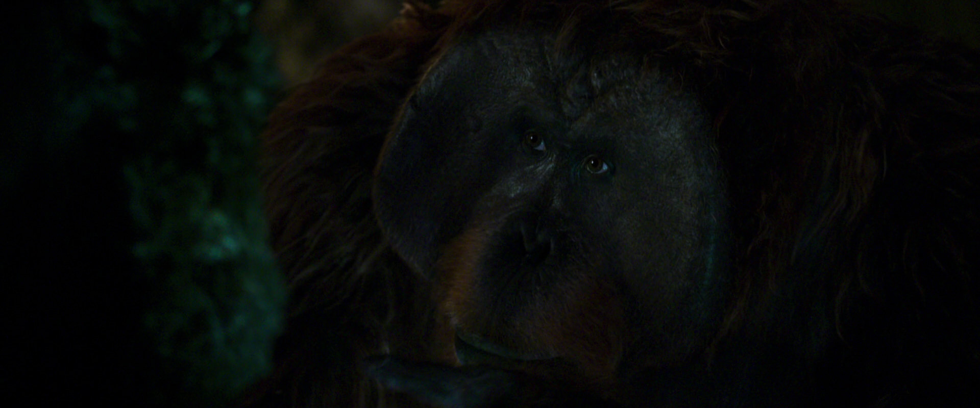 War for the Planet of the Apes (2017) movie still 12055
