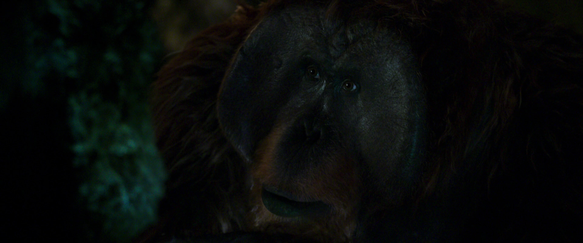War for the Planet of the Apes (2017) HD screenshot 12056