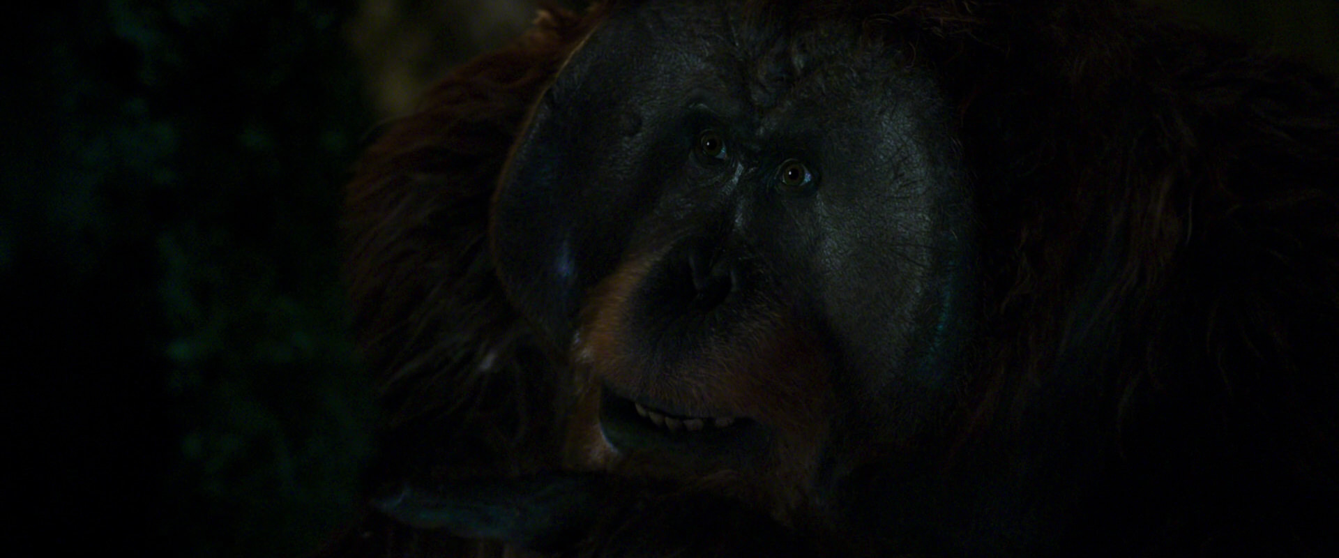 War for the Planet of the Apes (2017) screencap 12057