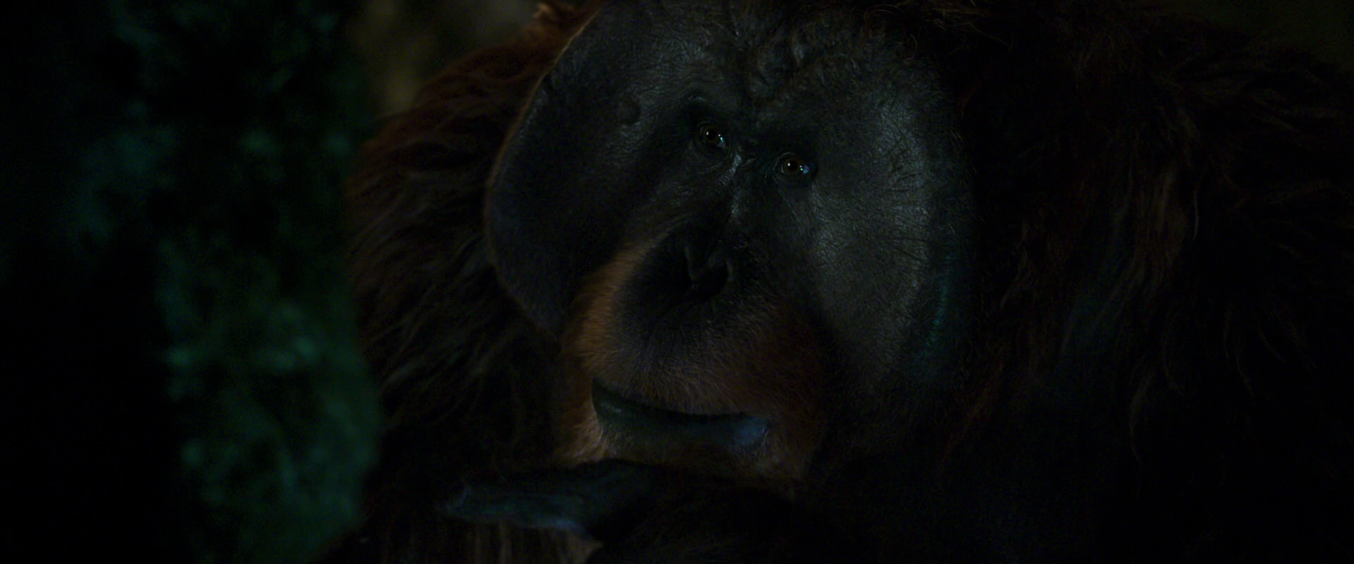 War for the Planet of the Apes (2017) movie still 12058