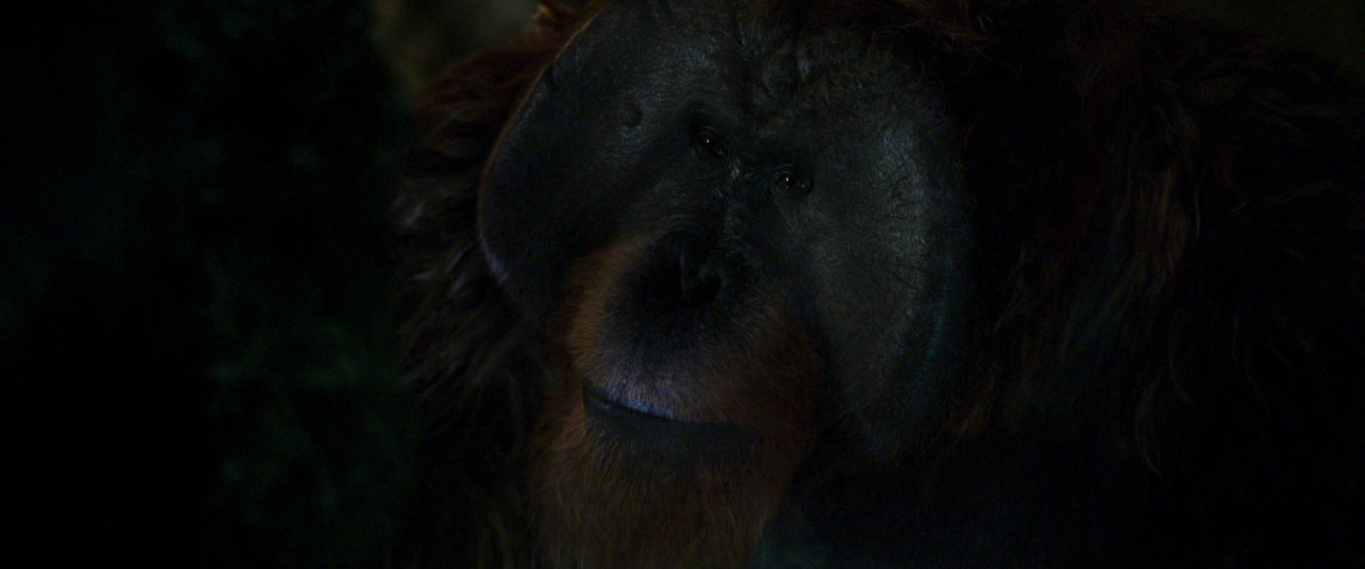 War for the Planet of the Apes (2017) HD screenshot 12059