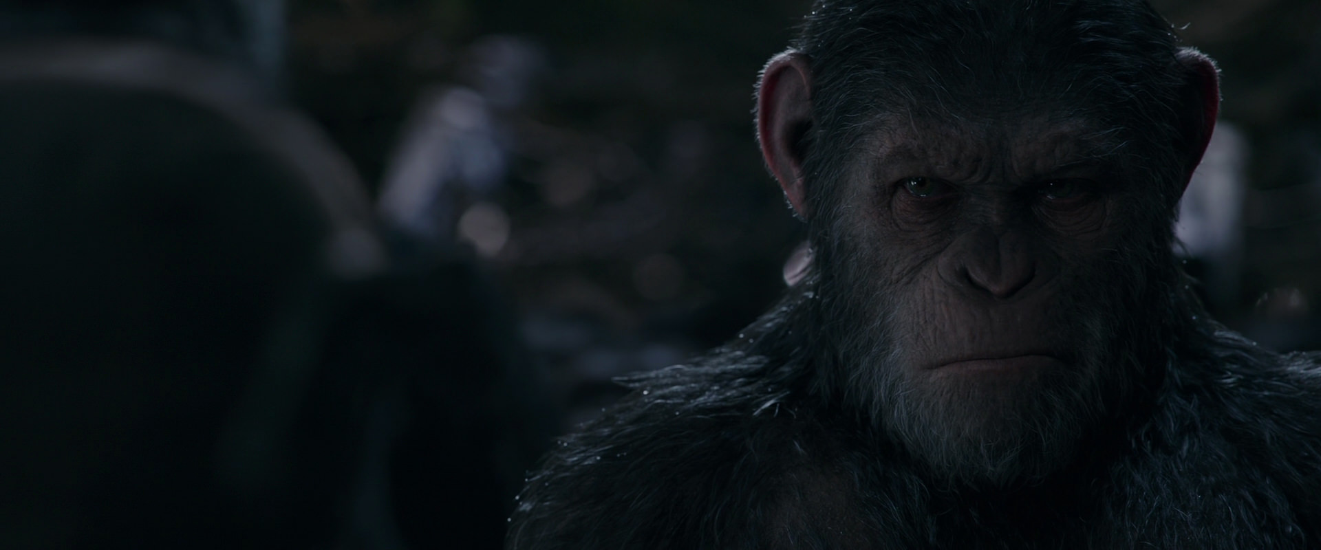 War for the Planet of the Apes (2017) screencap 1206