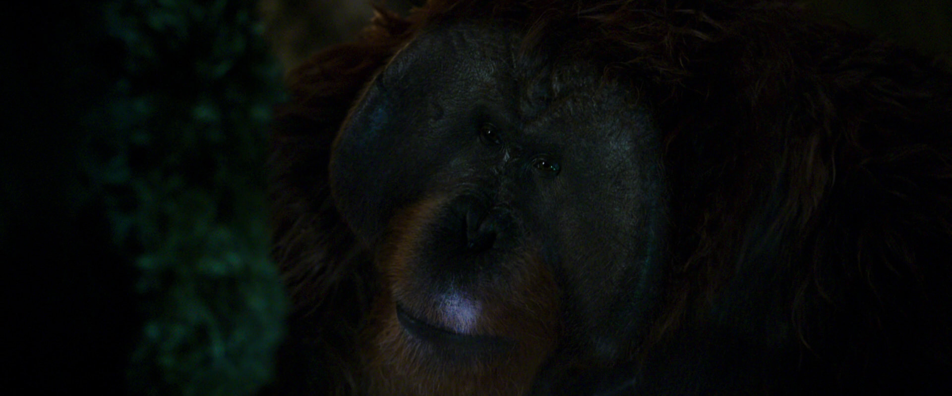 War for the Planet of the Apes (2017) screencap 12060