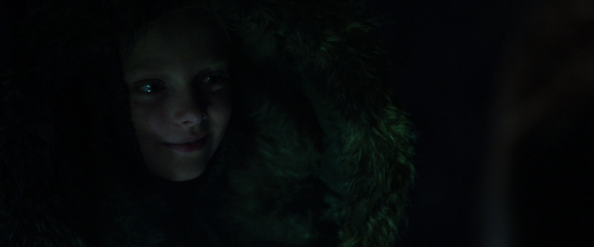 War for the Planet of the Apes (2017) screencap 12066