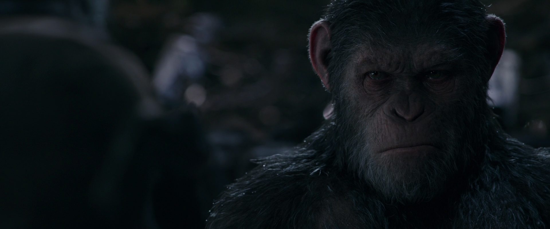 War for the Planet of the Apes (2017) movie still 1207