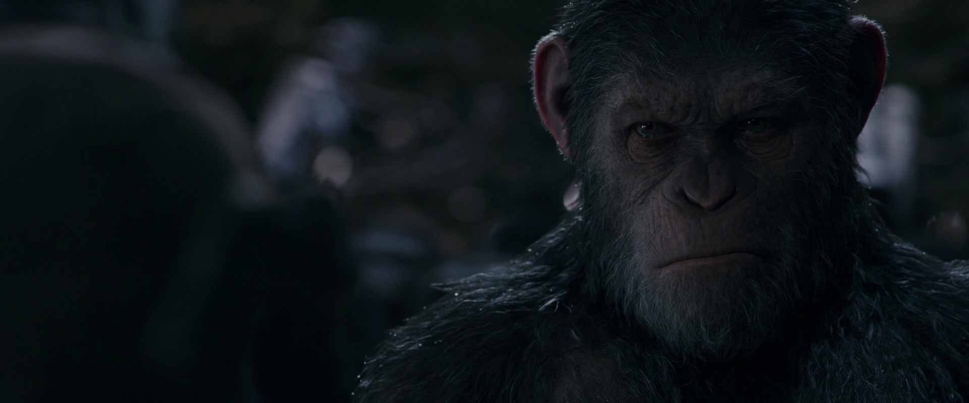 War for the Planet of the Apes (2017) HD screenshot 1208