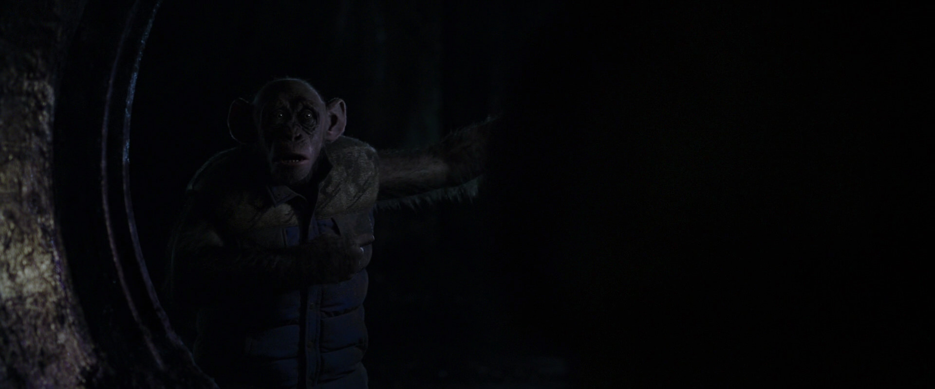 War for the Planet of the Apes (2017) screencap 12084