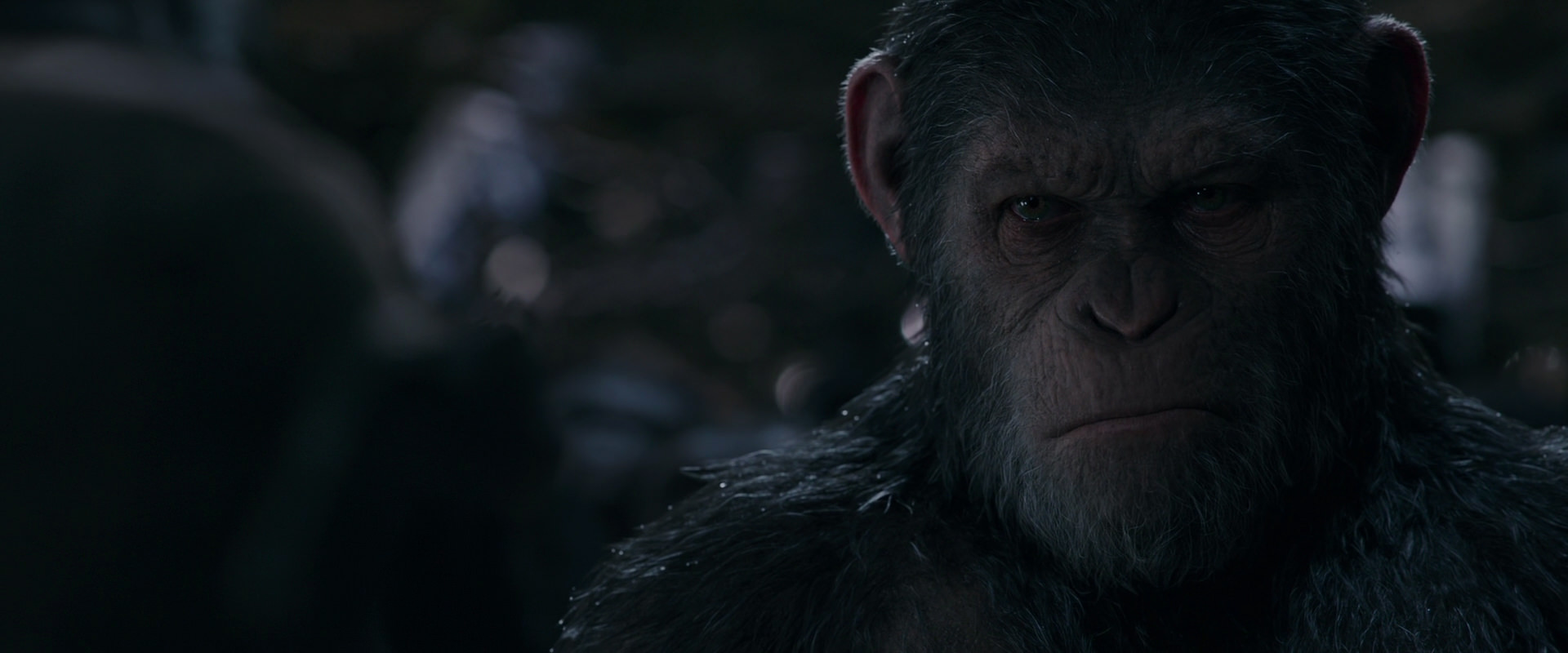 War for the Planet of the Apes (2017) screencap 1209