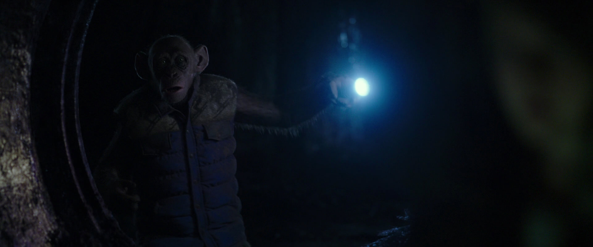War for the Planet of the Apes (2017) screencap 12090
