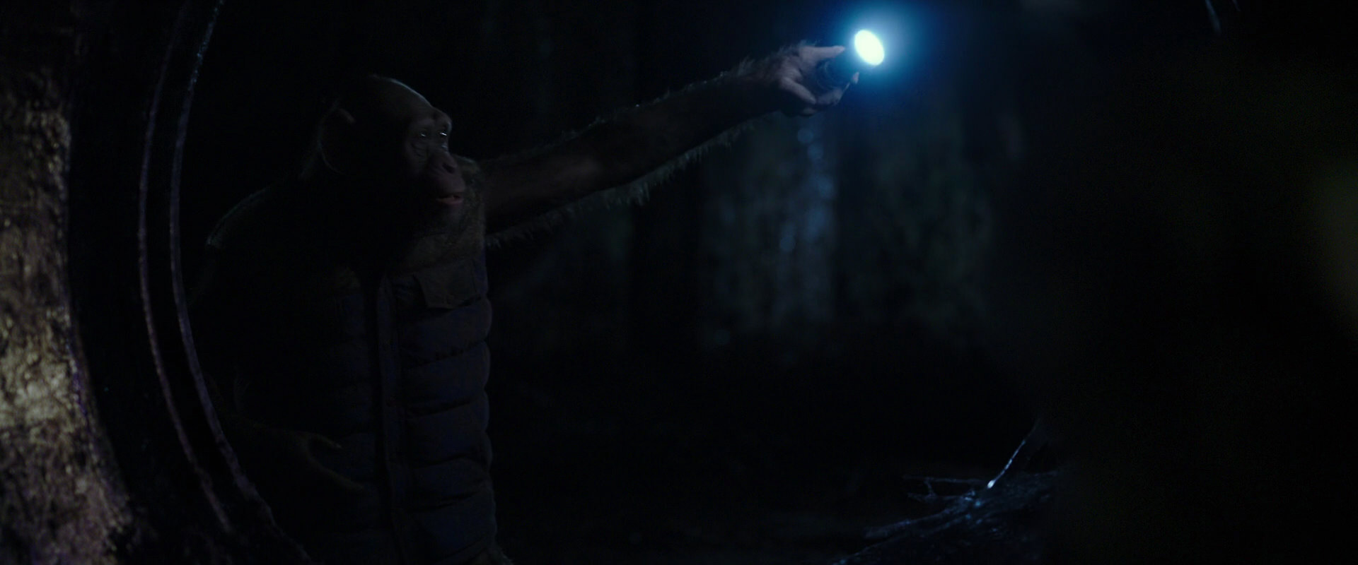 War for the Planet of the Apes (2017) HD screenshot 12092