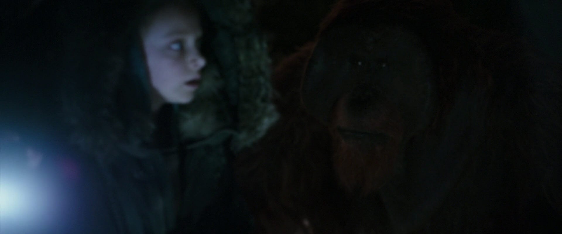 War for the Planet of the Apes (2017) screencap 12096