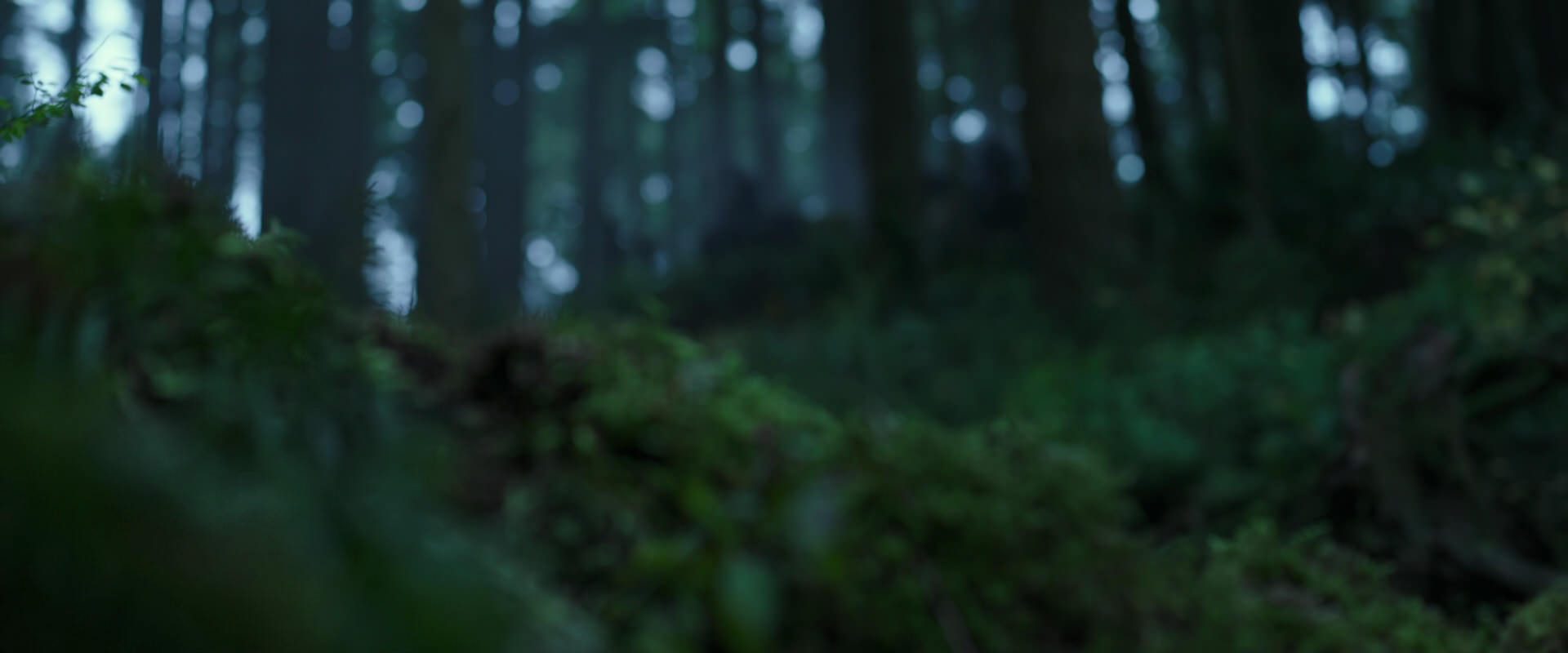 War for the Planet of the Apes (2017) movie still 121