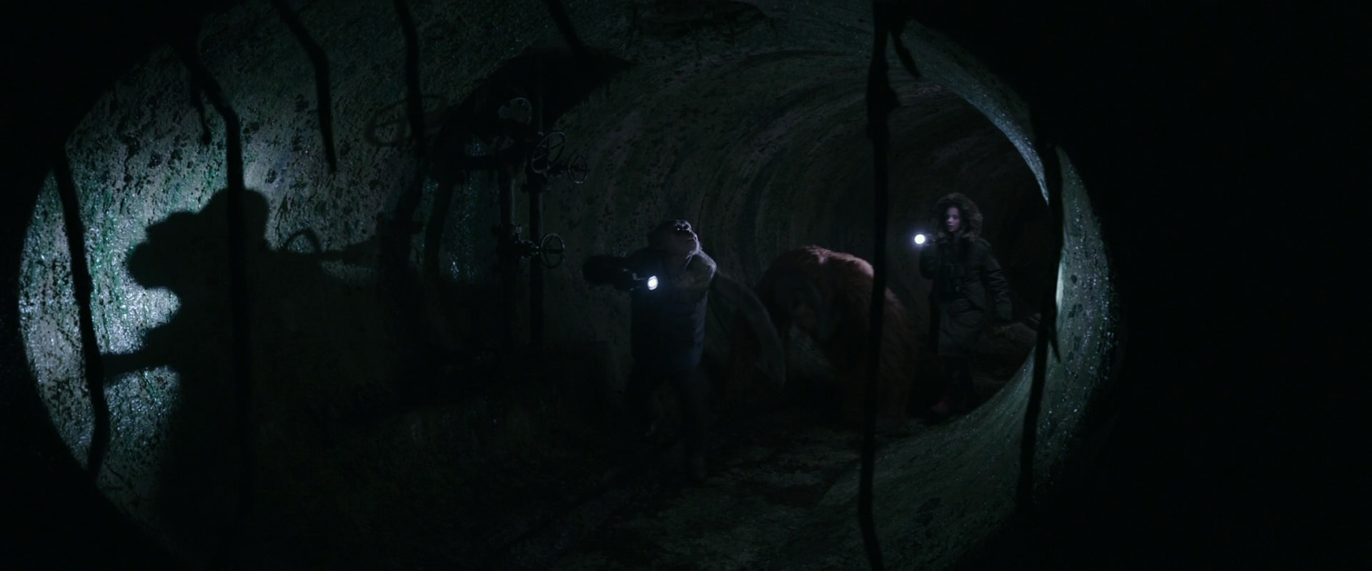 War for the Planet of the Apes (2017) screencap 12129