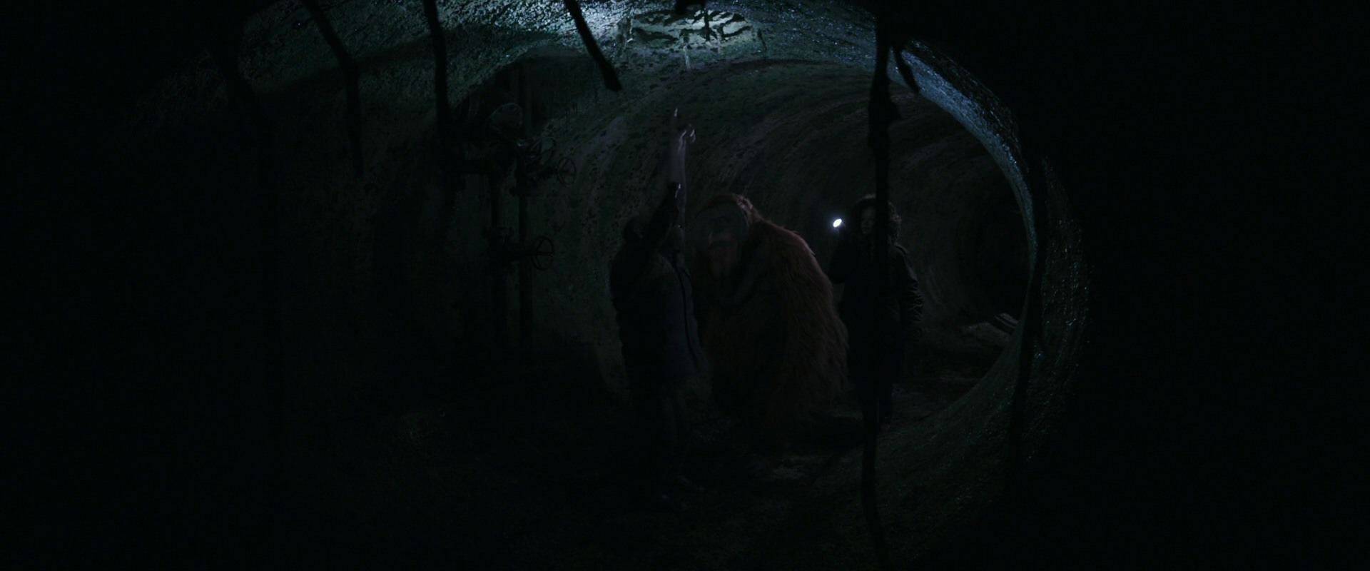 War for the Planet of the Apes (2017) screencap 12132
