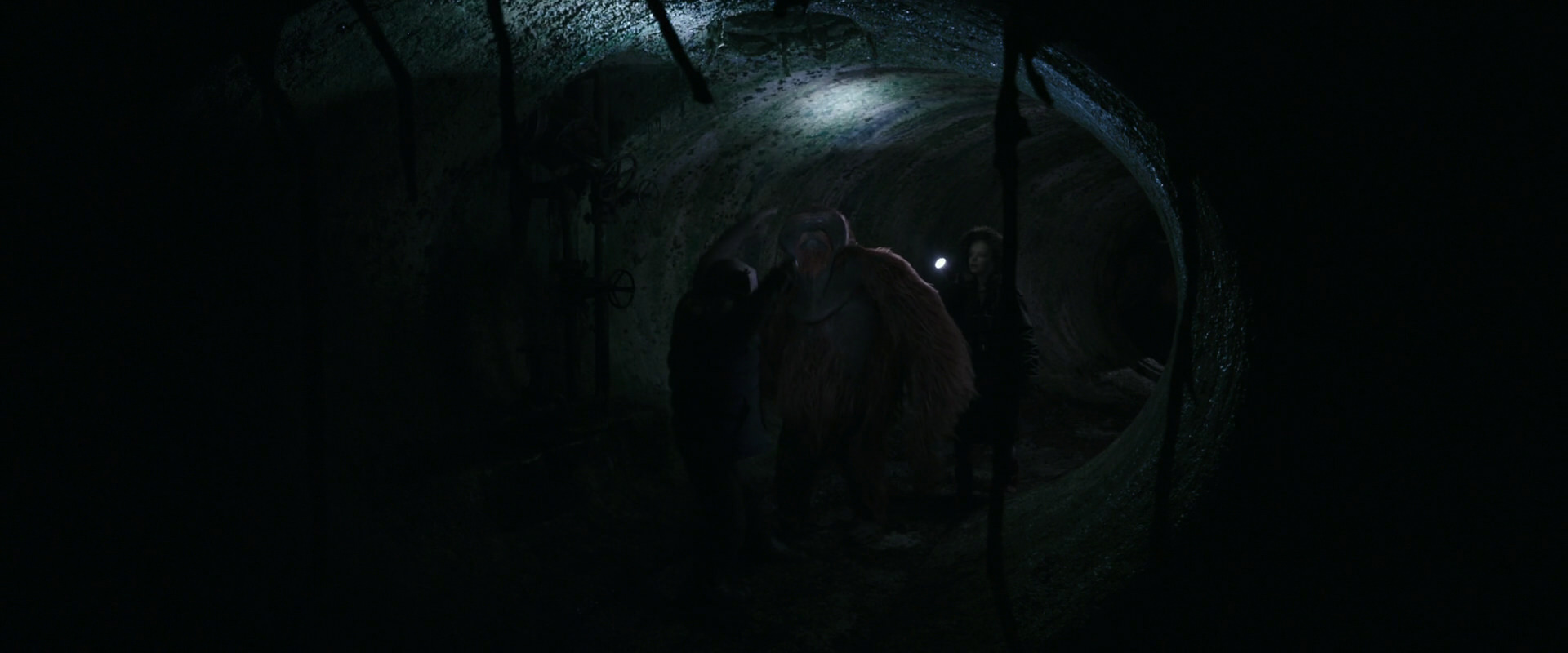 War for the Planet of the Apes (2017) movie still 12133