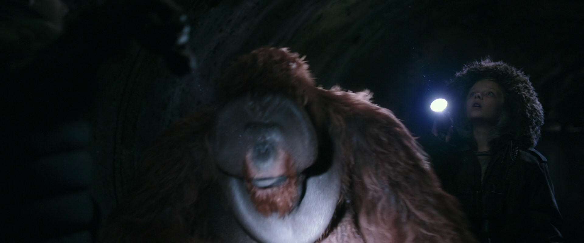 War for the Planet of the Apes (2017) screencap 12135