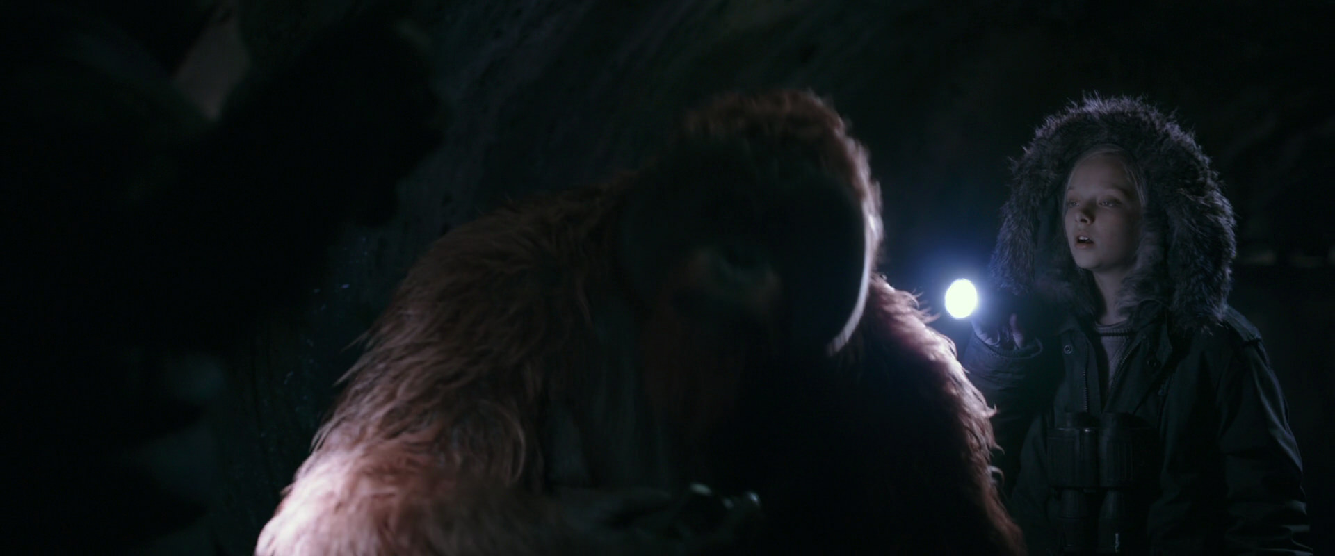 War for the Planet of the Apes (2017) screencap 12138
