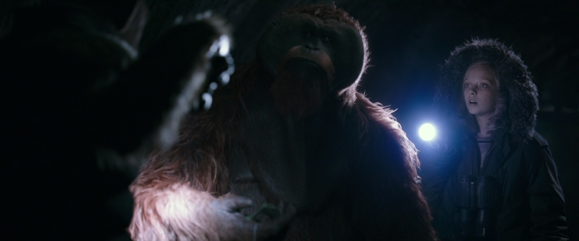 War for the Planet of the Apes (2017) movie still 12139