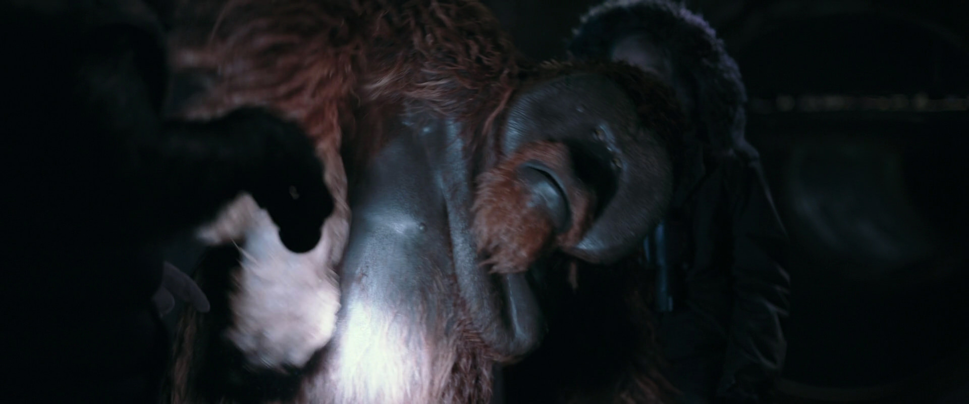 War for the Planet of the Apes (2017) HD screenshot 12170