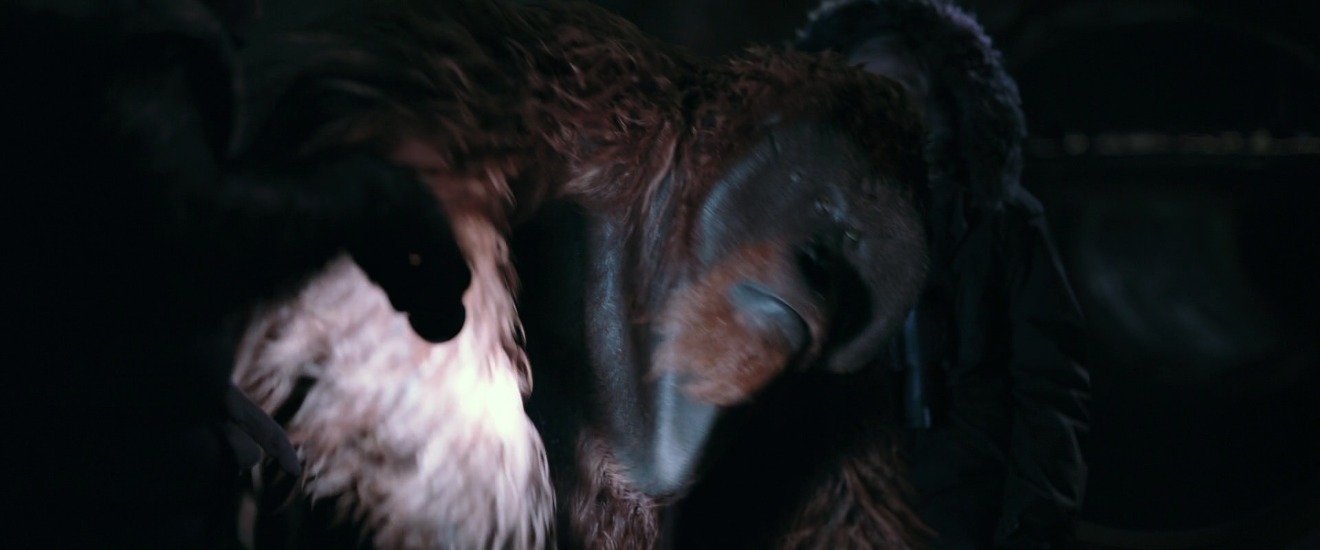 War for the Planet of the Apes (2017) screencap 12171