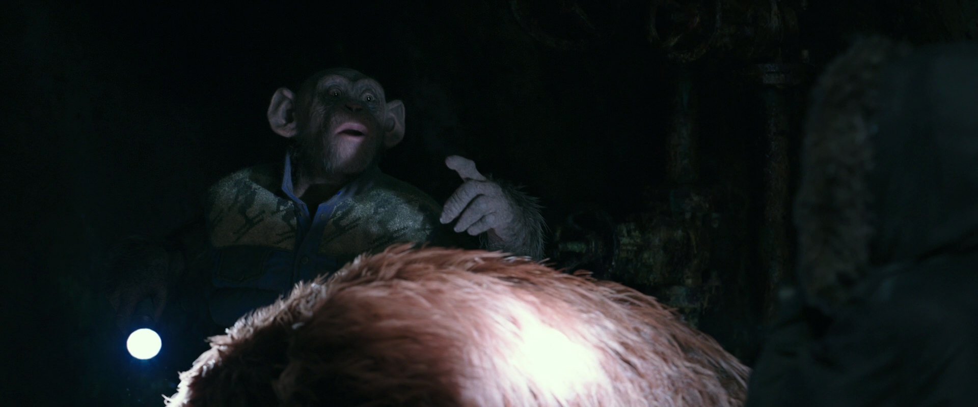 War for the Planet of the Apes (2017) screencap 12183