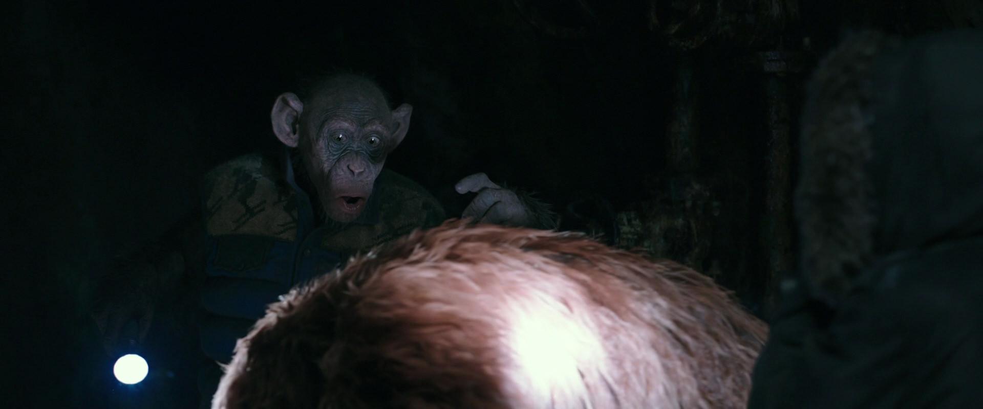 War for the Planet of the Apes (2017) screencap 12186