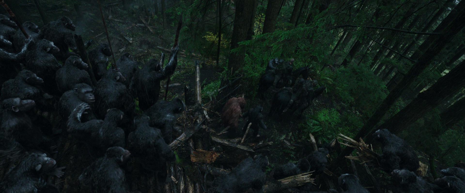 War for the Planet of the Apes (2017) movie still 1219