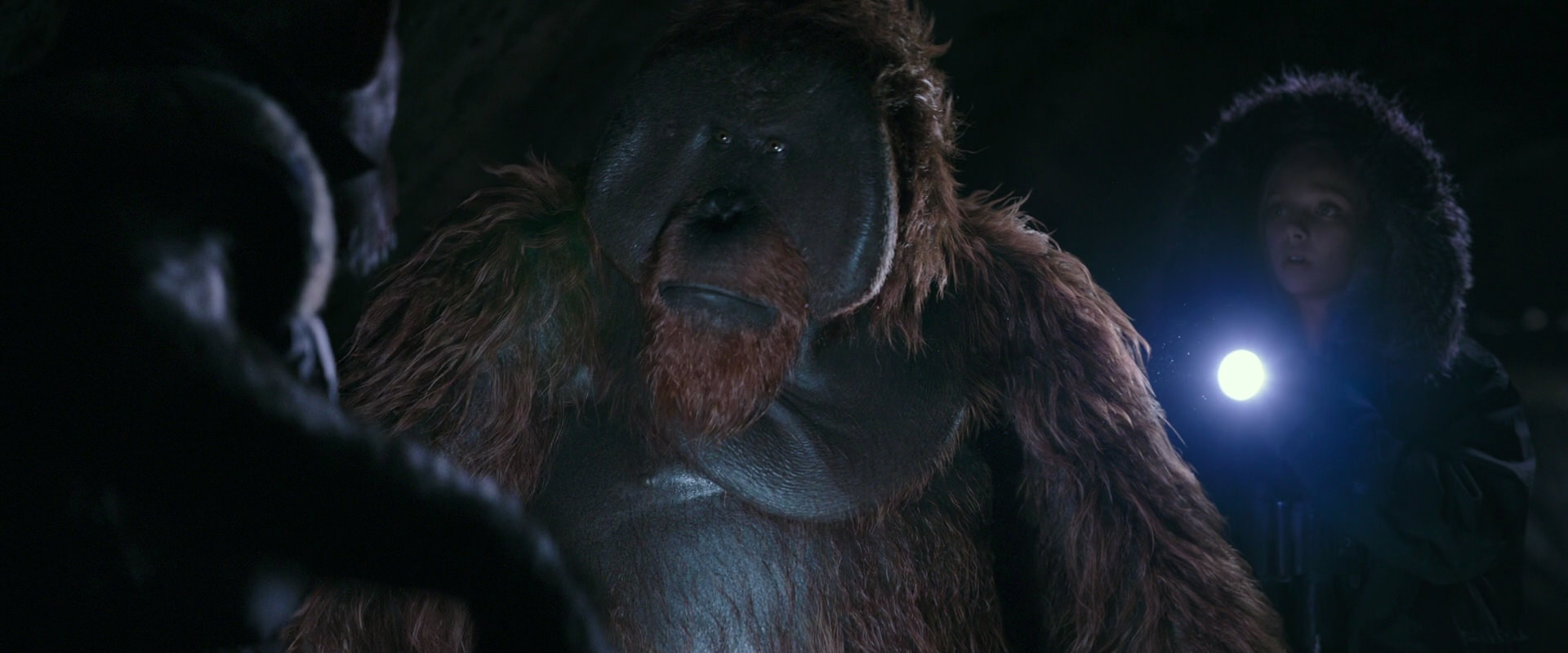 War for the Planet of the Apes (2017) screencap 12192
